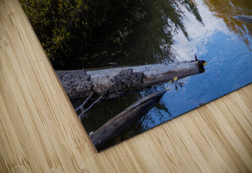 Duck Creek fall reflections  Photo Mahler puzzle