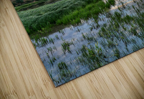 sunrise summer  Photo Mahler puzzle