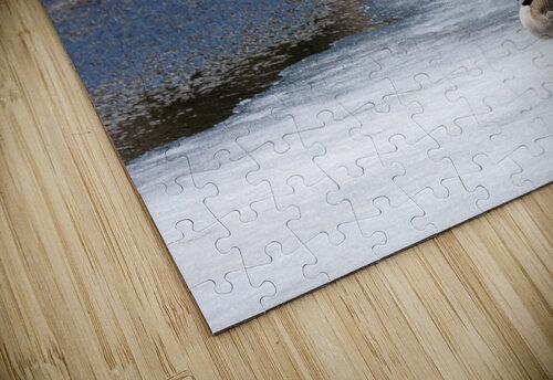 first to the pond Photo Mahler puzzle