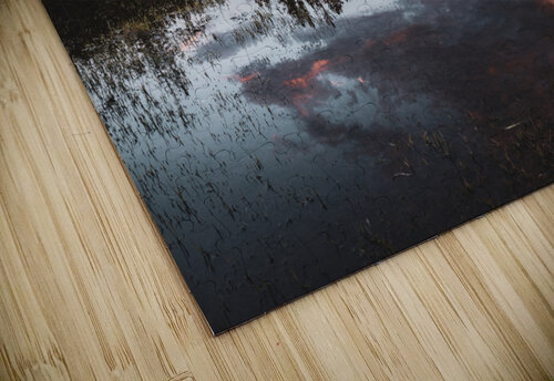 the hidden pond Photo Mahler puzzle