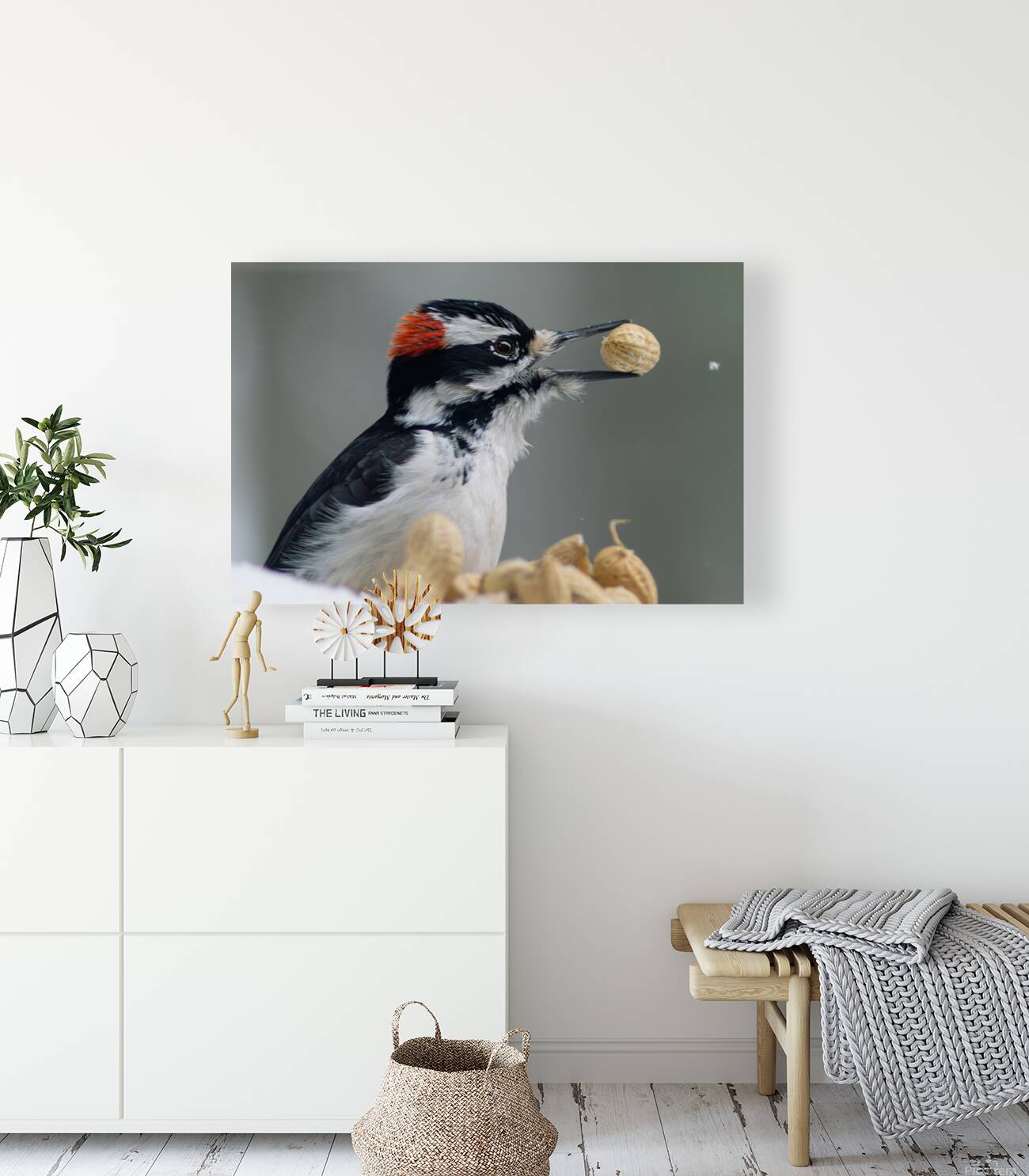 Pecker Reproduction