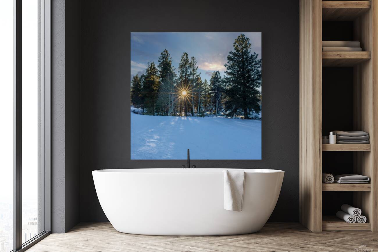 sunstar at sunset Reproduction
