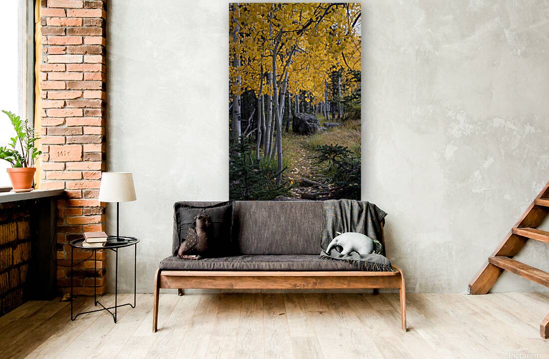Fall paths Reproduction