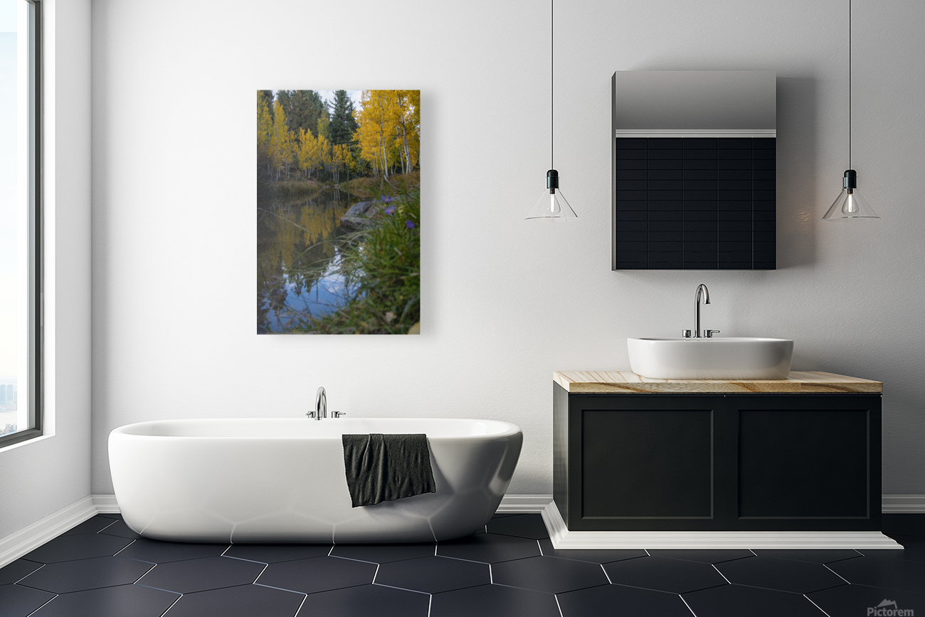Duck creek fall Reflections Reproduction