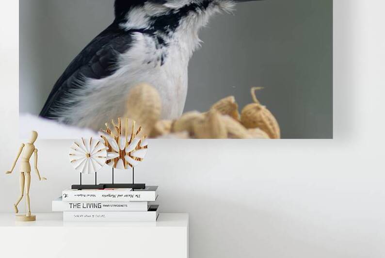 Pecker by Photo Mahler