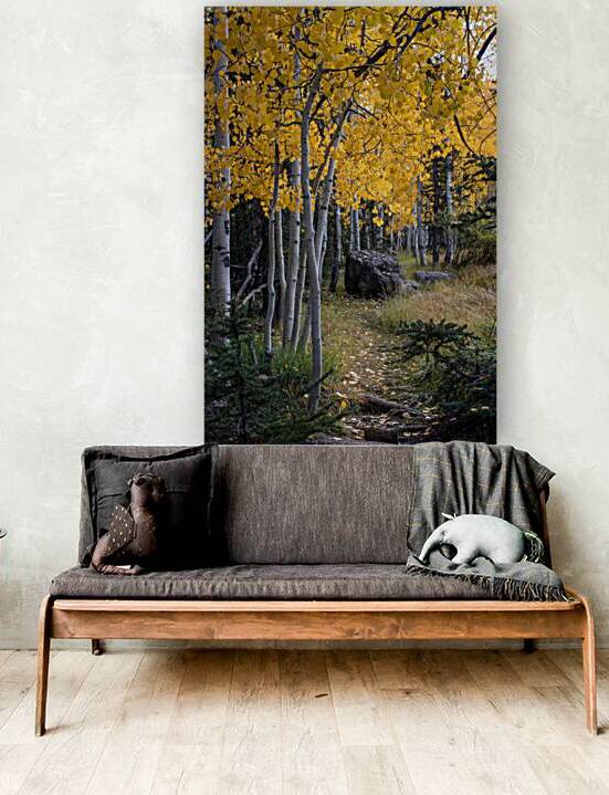 Fall paths Reproduction