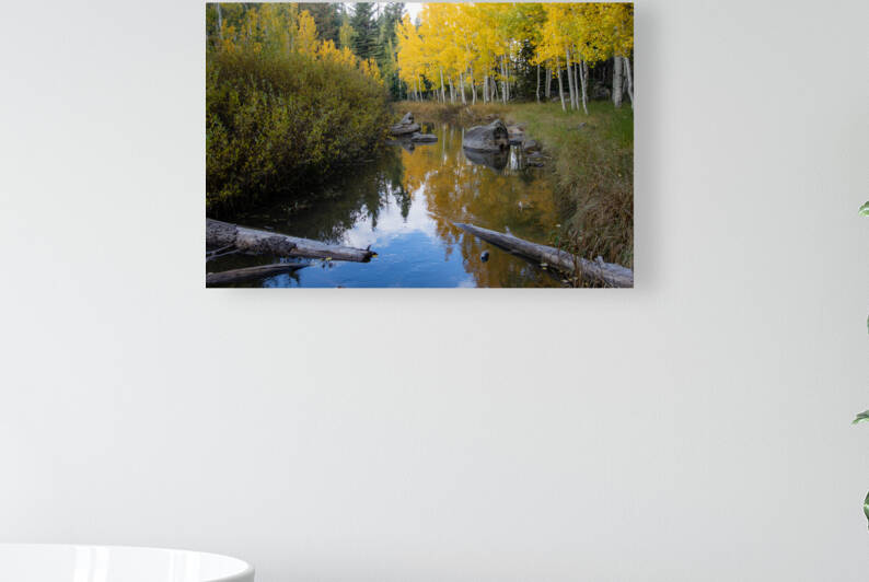 Duck Creek fall reflections  Reproduction