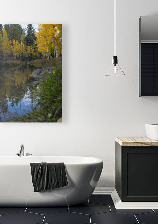 Duck creek fall Reflections Reproduction