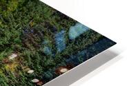 fall2023a HD Metal print