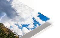 fall in nature HD Metal print