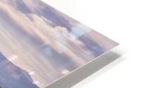 strawberry point  HD Metal print