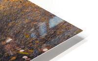 Water Fall HD Metal print