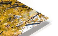 Fall paths HD Metal print