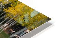 Duck Creek fall reflections  HD Metal print