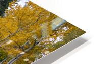 Duck creek fall Reflections HD Metal print