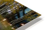 Fall Reflections HD Metal print