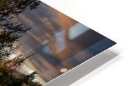 bright fall HD Metal print