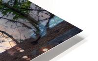 riverwalk sat HD Metal print