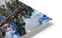 Aspen  HD Metal print