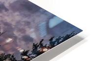 something in the orange HD Metal print