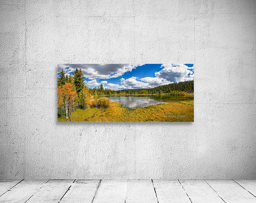 fall in nature Wall Preview