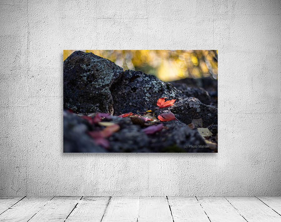 Fall Leaves Wall Preview