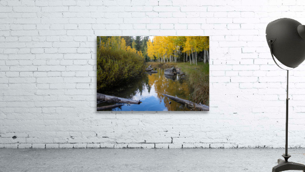 Duck Creek fall reflections  Wall Preview
