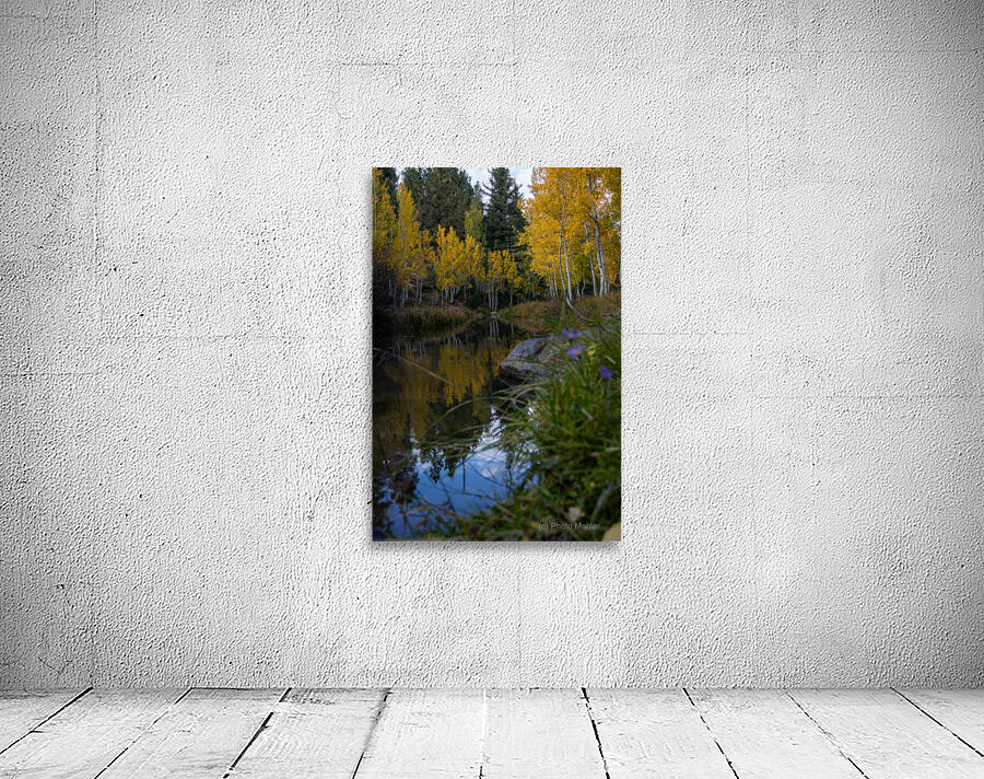Duck creek fall Reflections Wall Preview
