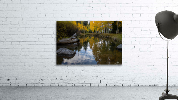 Fall Reflections Wall Preview