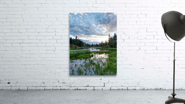 sunrise summer  Wall Preview