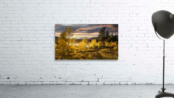 bright fall Wall Preview