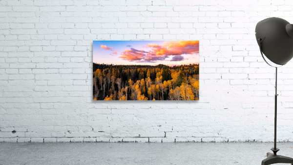tree tops in fall Wall Preview