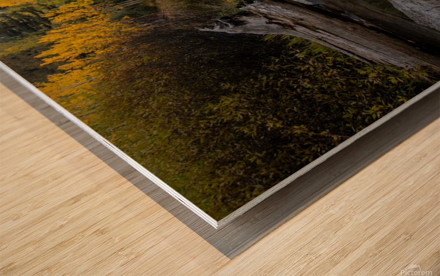 Fall Reflections Wood print