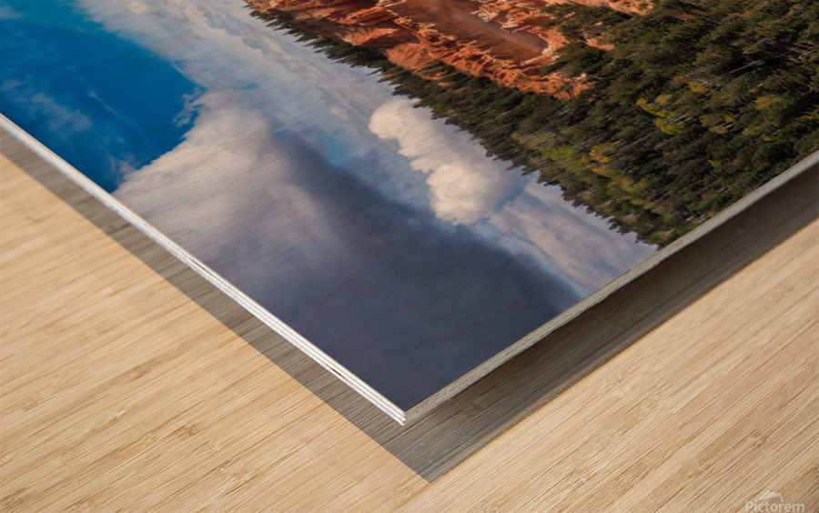 strawberry point overlook Wood print
