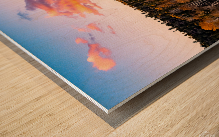 tree tops in fall Wood print