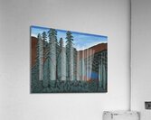 Dark Woods Acrylic Print