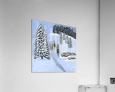 Winter Scouts Acrylic Print
