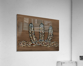 Three Feathers Acrylic Print