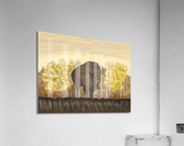 Noble Bison Acrylic Print