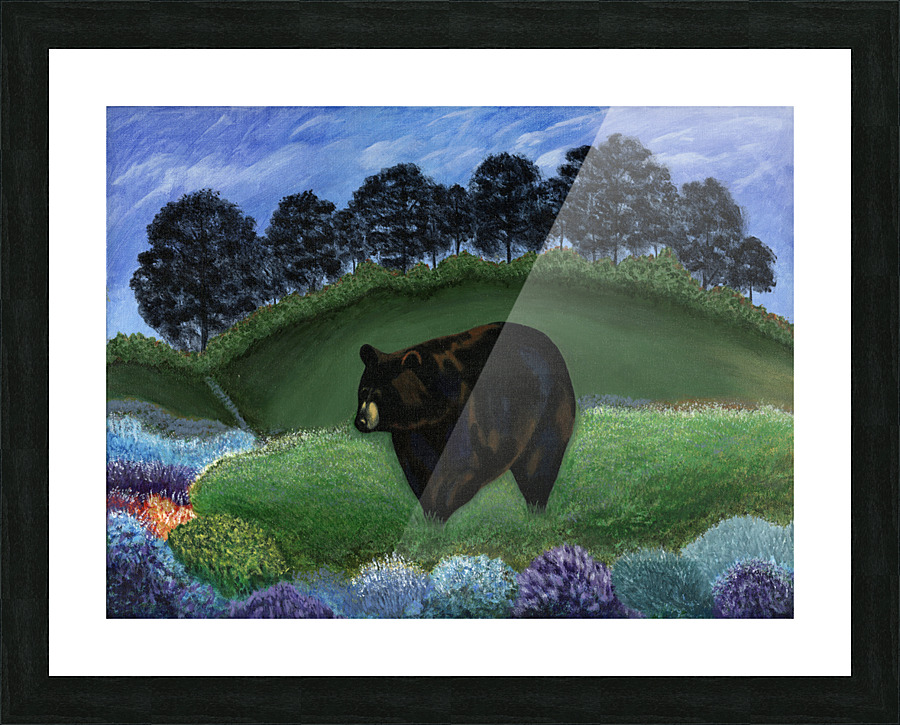Black Bear Picture Frame print