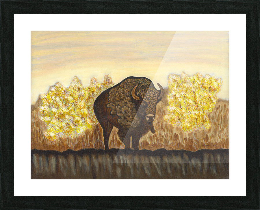 Noble Bison Picture Frame print