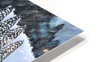 Winter Scouts HD Metal print
