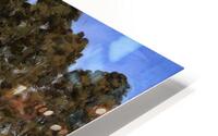 Mallard HD Metal print
