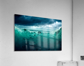 Head Above Water Acrylic Print