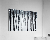 Light Snowy Forest Acrylic Print