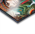 Indigenous Beauty  Acrylic print