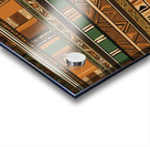 Roots Reimagined 1a 11 Acrylic print