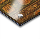 Roots Reimagined 1a 12 Acrylic print