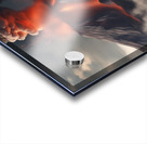 TAME Gallery 1 1 Acrylic print