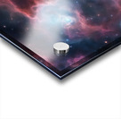 TAME Gallery 1 2 Acrylic print